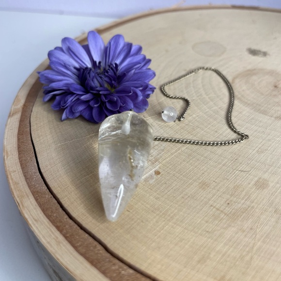 Pendulum - Picture 6 of 6